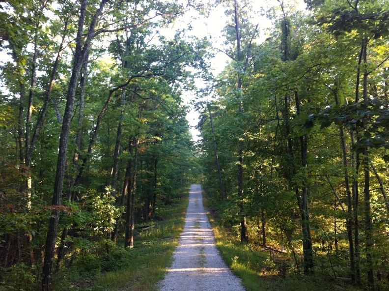 Auxier Ridge_ a year after the fire 19.jpg